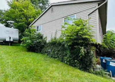 Best Landscape Company