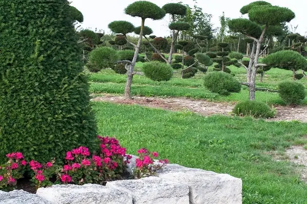 Commercial Landscaping Commercial Landscaping