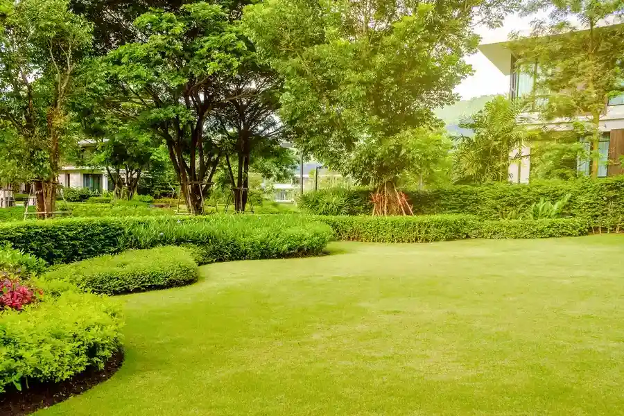 Expert Residential Landscaping Independence KY