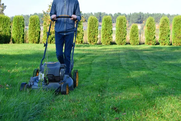 JS Landscaping's Other Services JS Landscaping's Other Services