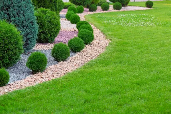 Landscape Maintenance Landscape Maintenance
