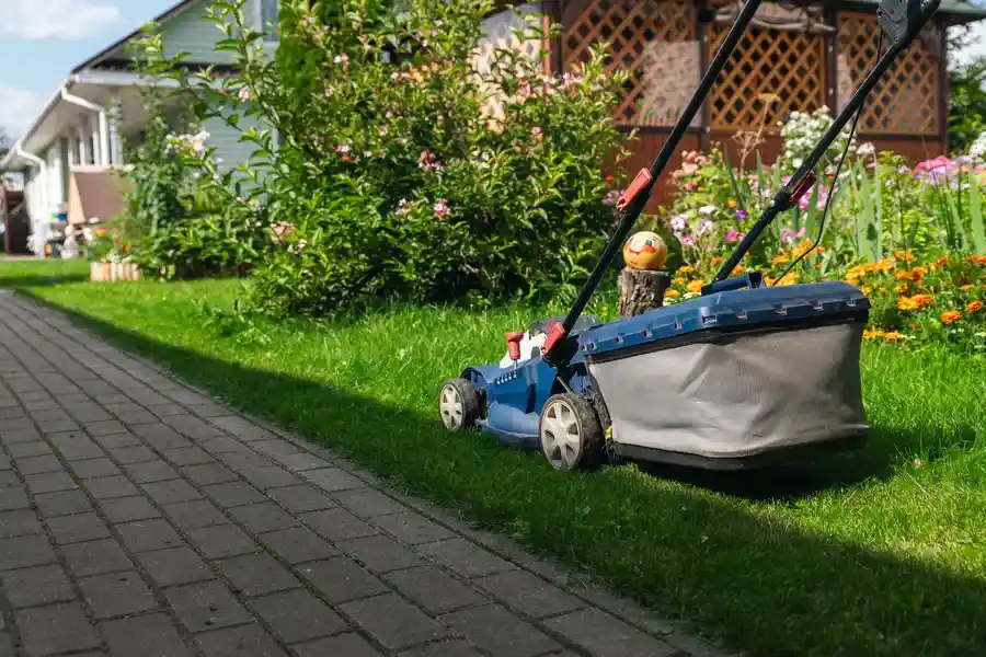 Premium Landscape Maintenance Independence KY