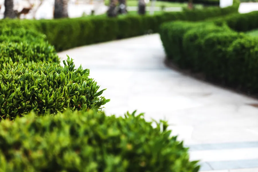 Professional Commercial Landscaping Independence KY