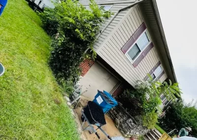 Professional Landscape Company