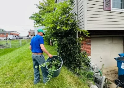 Quality Landscape Contractor (5)