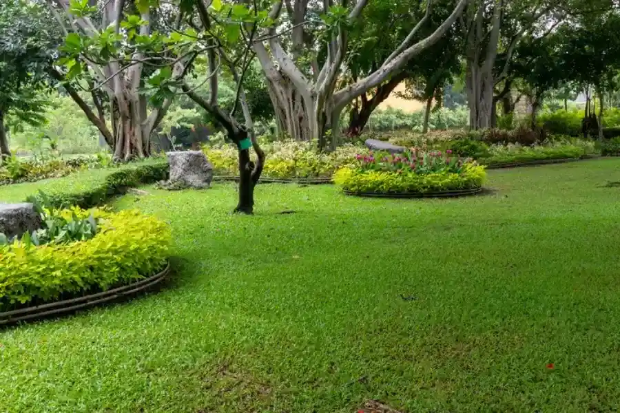 Reliable Landscape Maintenance Independence KY