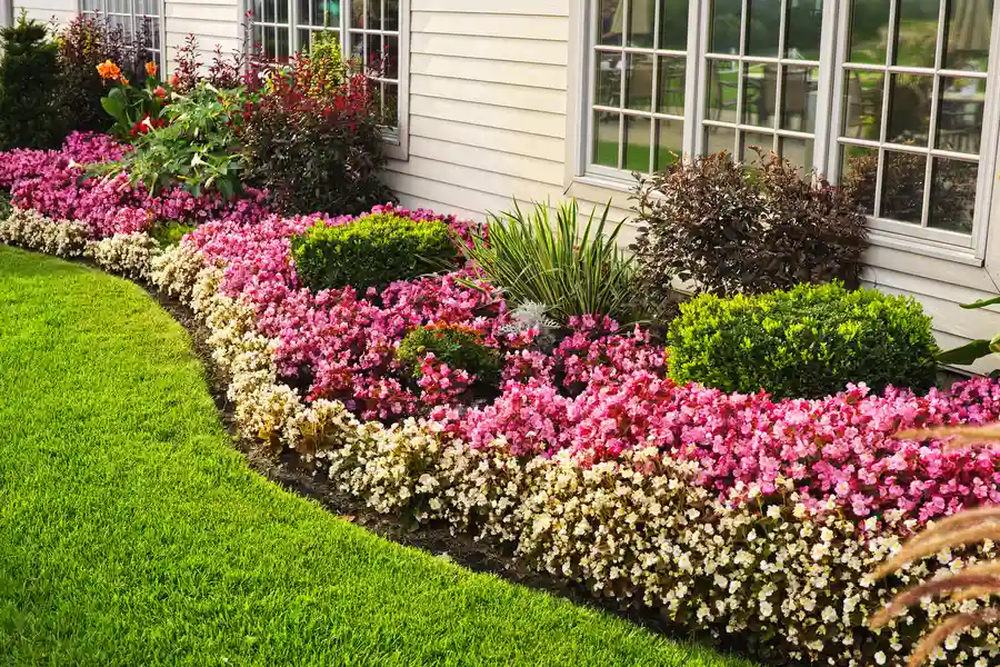 The Role Of Hardscaping In Residential Landscape Design in Independence KY