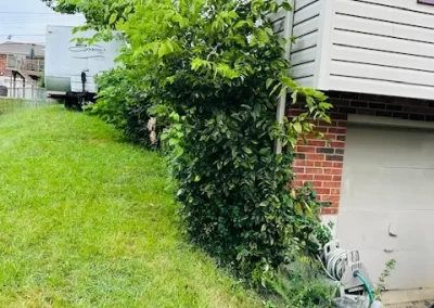 Top Landscape Company