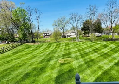 Landscaping Services